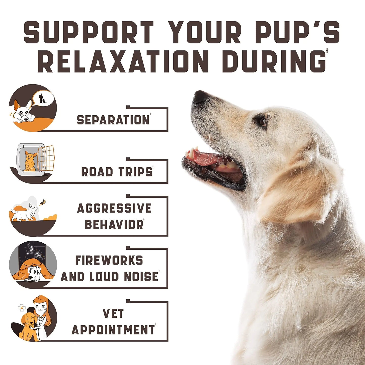Calming Chews for Labrador Dogs with Valerian Root and Hemp Oil Aid during Car