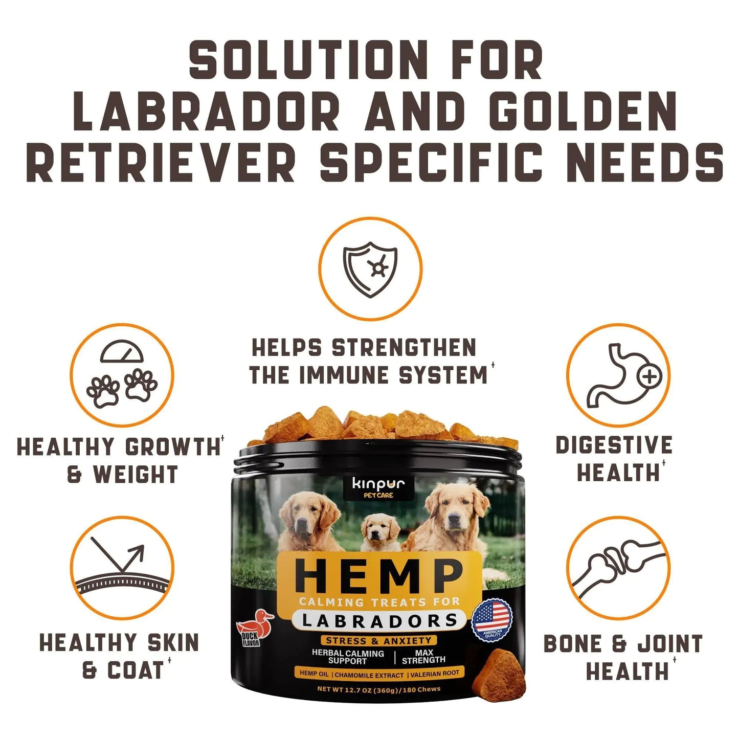 Calming Chews for Labrador Dogs with Valerian Root and Hemp Oil Aid during Car