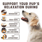 Calming Chews for Labrador Dogs with Valerian Root and Hemp Oil   Aid during Car