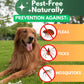 Parasites Prevention for Dogs Chewables Natural Dog Insects Control 120 Tablets